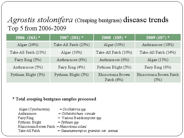 Agrostis stolonifera (Creeping bentgrass) disease trends Top 5 from 2006 -2009 2006 (263) *