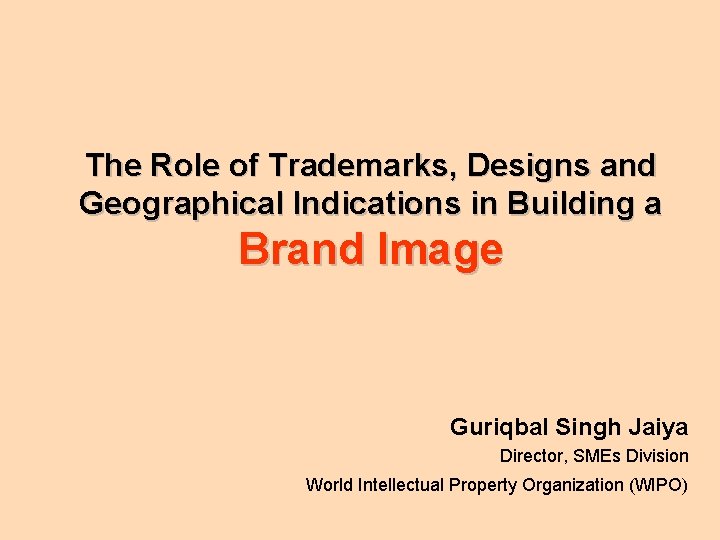 The Role of Trademarks, Designs and Geographical Indications in Building a Brand Image Guriqbal