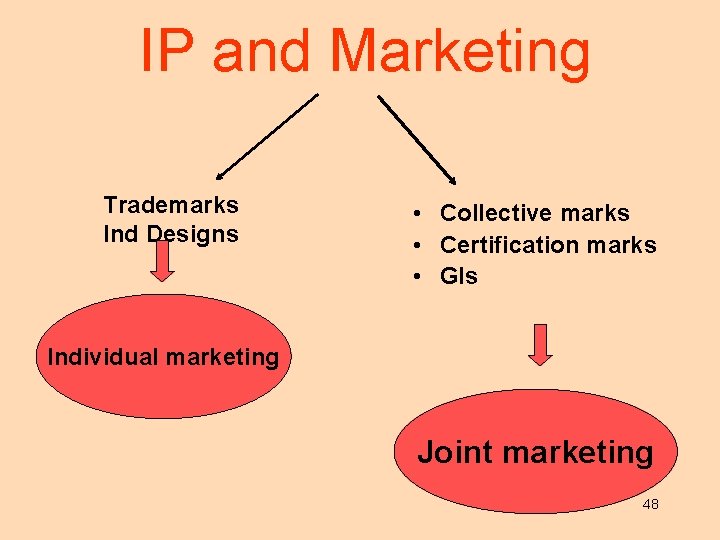 IP and Marketing Trademarks Ind Designs • Collective marks • Certification marks • GIs