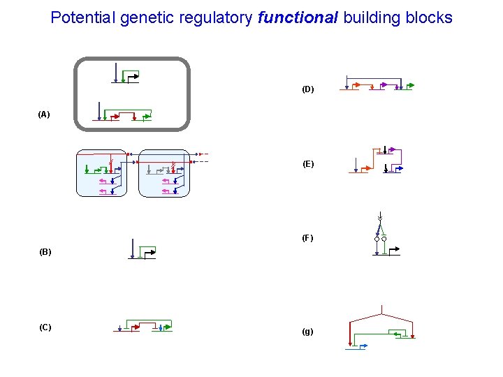 Potential genetic regulatory functional building blocks (D) (A) (E) (F) (B) (C) (g) 