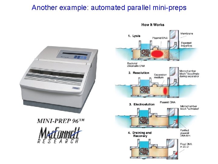 Another example: automated parallel mini-preps 