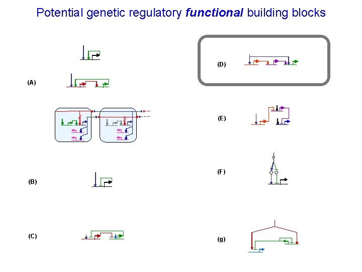 Potential genetic regulatory functional building blocks (D) (A) (E) (F) (B) (C) (g) 