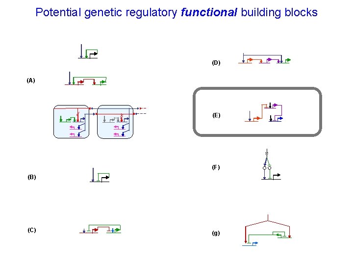 Potential genetic regulatory functional building blocks (D) (A) (E) (F) (B) (C) (g) 