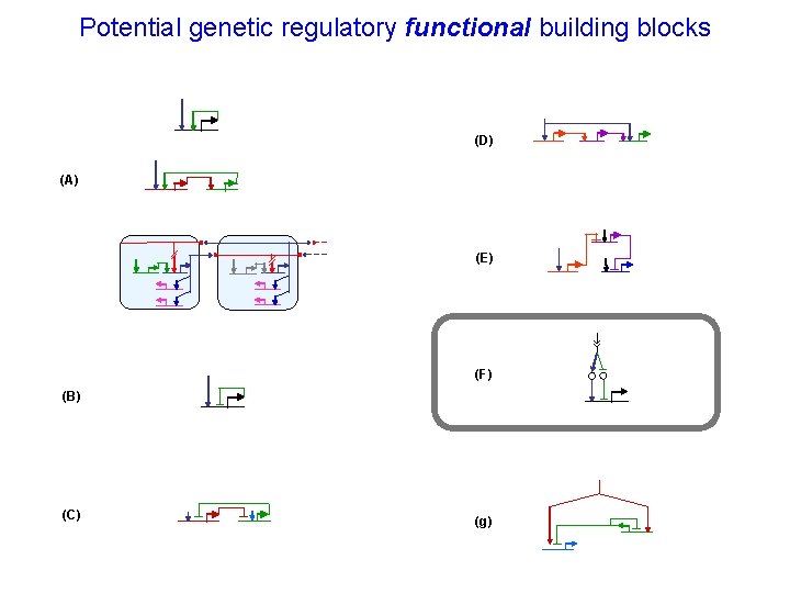 Potential genetic regulatory functional building blocks (D) (A) (E) (F) (B) (C) (g) 