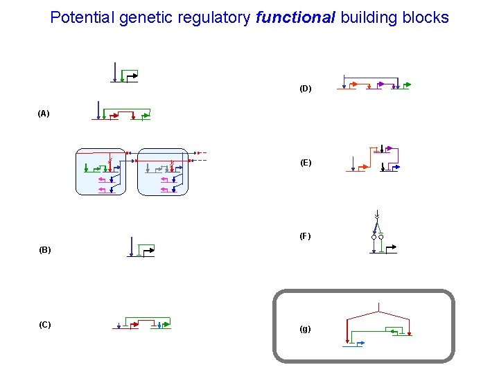 Potential genetic regulatory functional building blocks (D) (A) (E) (F) (B) (C) (g) 