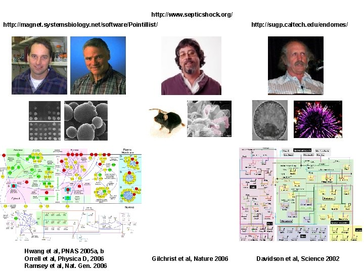 http: //www. septicshock. org/ http: //magnet. systemsbiology. net/software/Pointillist/ Hwang et al, PNAS 2005 a,