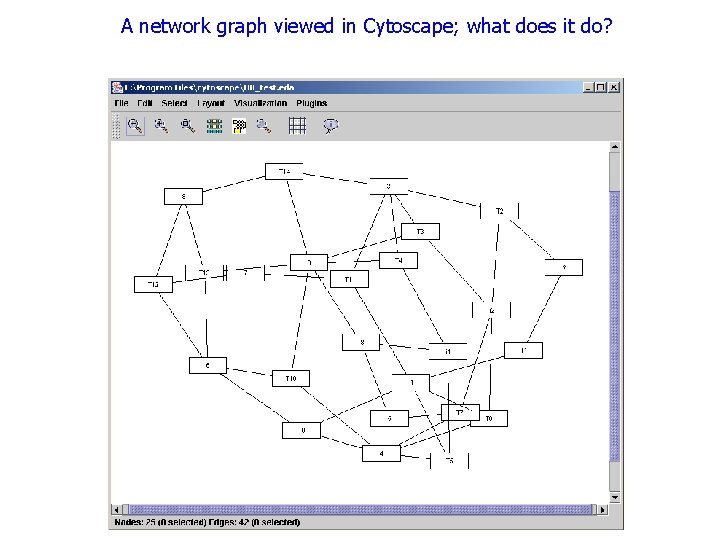 A network graph viewed in Cytoscape; what does it do? 