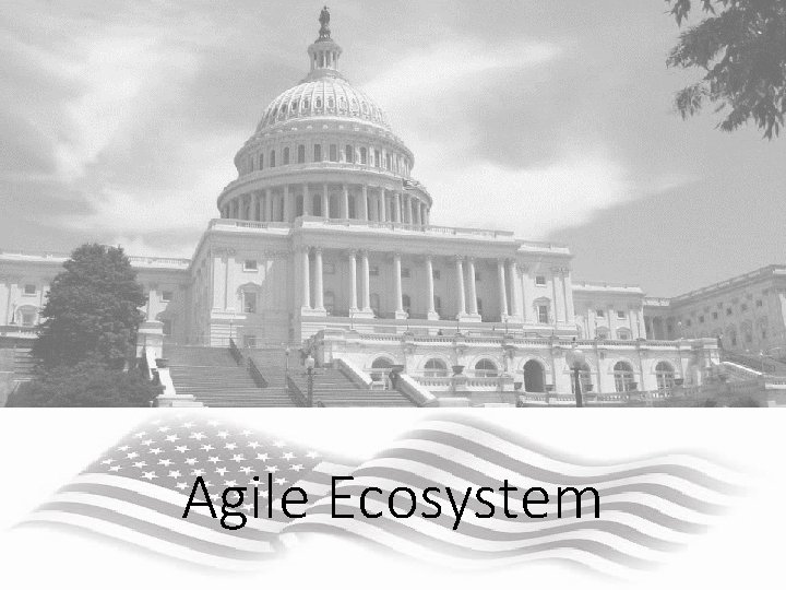 Agile Ecosystem 