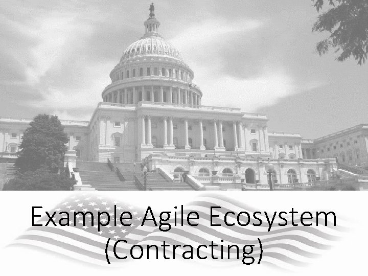 Example Agile Ecosystem (Contracting) 