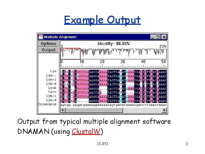 Example Output from typical multiple alignment software DNAMAN (using Clustal. W) 15 -853 3 Example Output from typical multiple alignment software DNAMAN (using Clustal. W) 15 -853 3