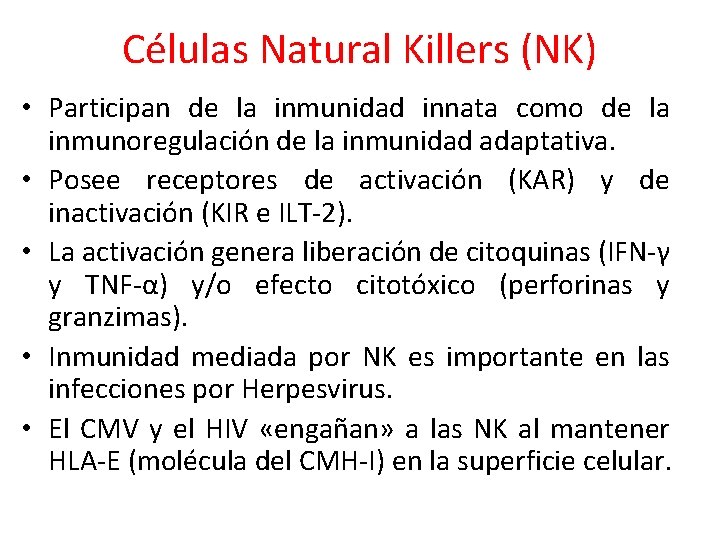 Células Natural Killers (NK) • Participan de la inmunidad innata como de la inmunoregulación