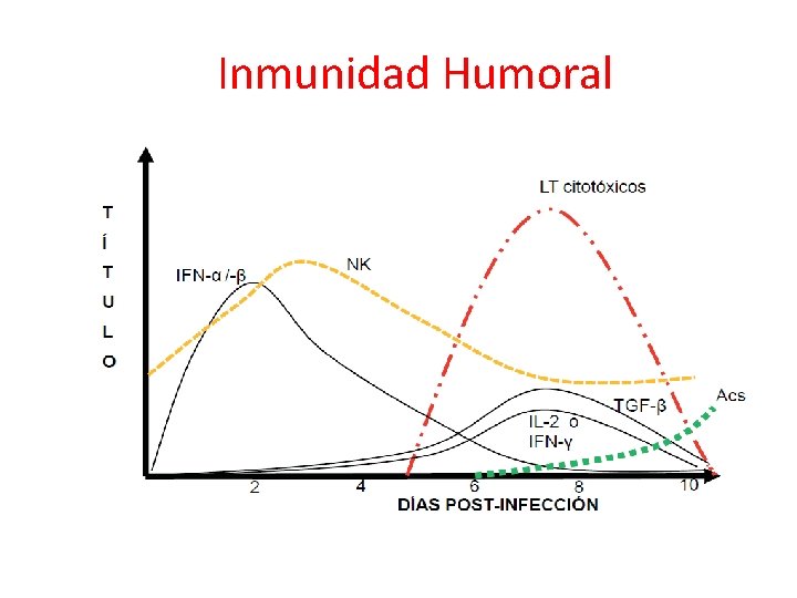 Inmunidad Humoral 