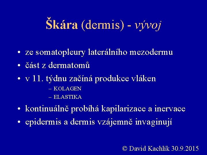 Škára (dermis) - vývoj • ze somatopleury laterálního mezodermu • část z dermatomů •