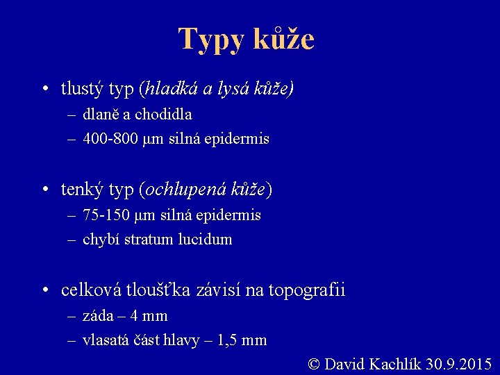 Typy kůže • tlustý typ (hladká a lysá kůže) – dlaně a chodidla –
