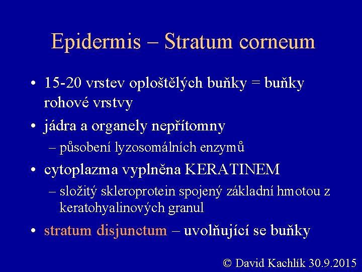 Epidermis – Stratum corneum • 15 -20 vrstev oploštělých buňky = buňky rohové vrstvy