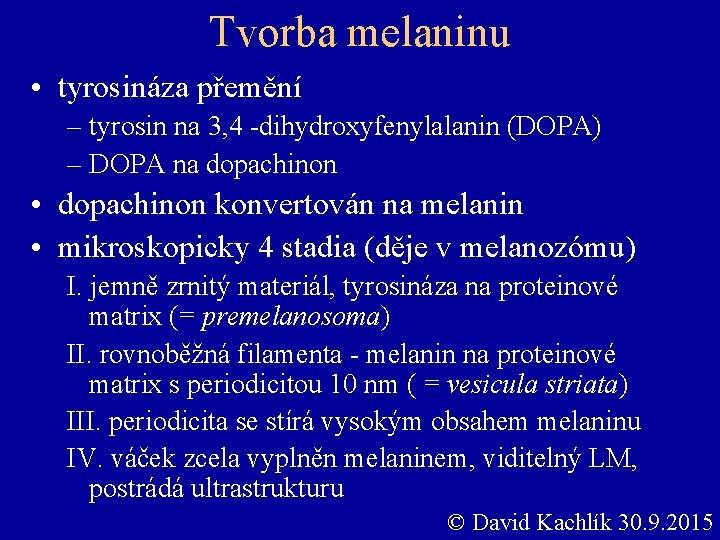 Tvorba melaninu • tyrosináza přemění – tyrosin na 3, 4 -dihydroxyfenylalanin (DOPA) – DOPA