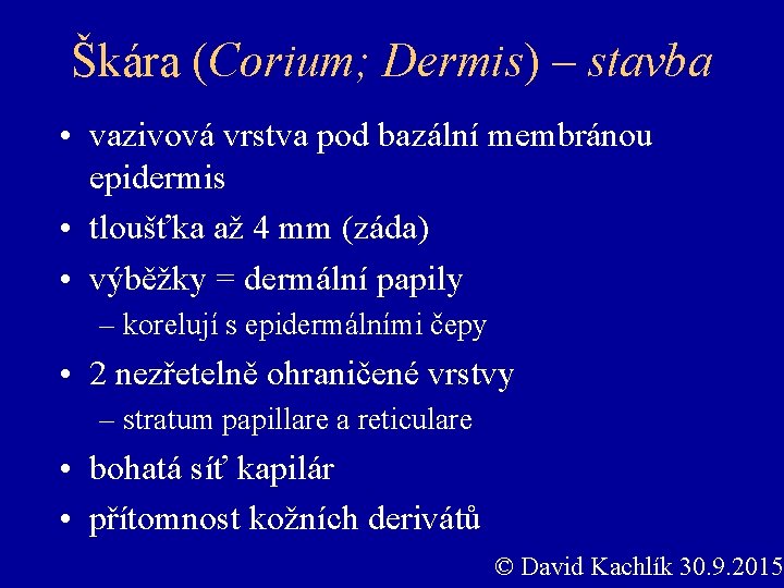 Škára (Corium; Dermis) – stavba • vazivová vrstva pod bazální membránou epidermis • tloušťka