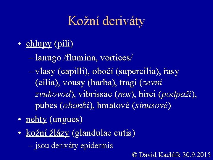 Kožní deriváty • chlupy (pili) – lanugo /flumina, vortices/ – vlasy (capilli), obočí (supercilia),