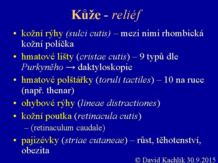 Kůže - reliéf • kožní rýhy (sulci cutis) – mezi nimi rhombická kožní políčka