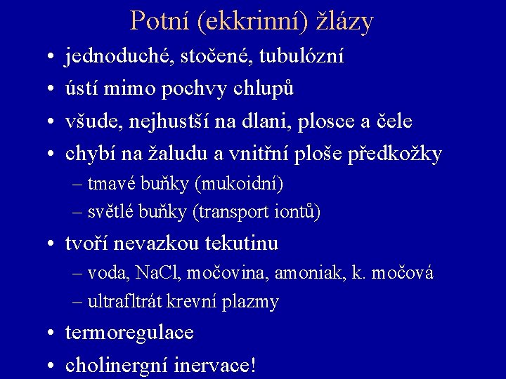 Potní (ekkrinní) žlázy • • jednoduché, stočené, tubulózní ústí mimo pochvy chlupů všude, nejhustší