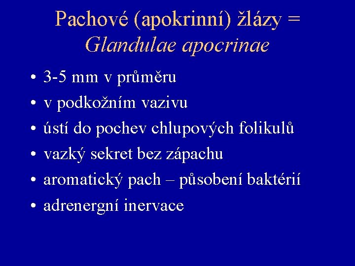 Pachové (apokrinní) žlázy = Glandulae apocrinae • • • 3 -5 mm v průměru