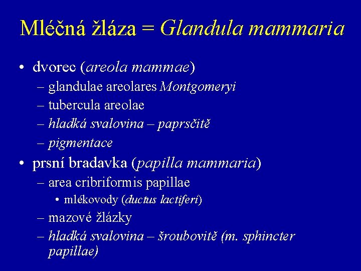 Mléčná žláza = Glandula mammaria • dvorec (areola mammae) – glandulae areolares Montgomeryi –