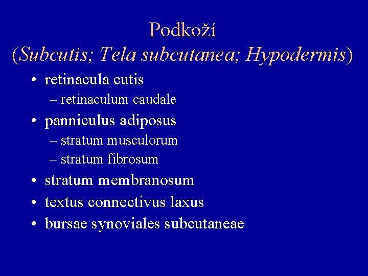 Podkoží (Subcutis; Tela subcutanea; Hypodermis) • retinacula cutis – retinaculum caudale • panniculus adiposus