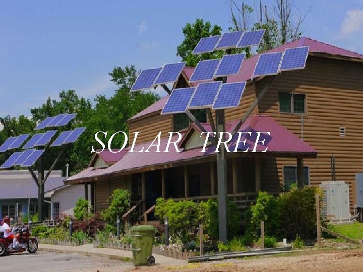 SOLAR TREE 