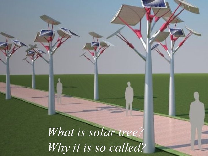 What is solar tree? Why it is so called? 