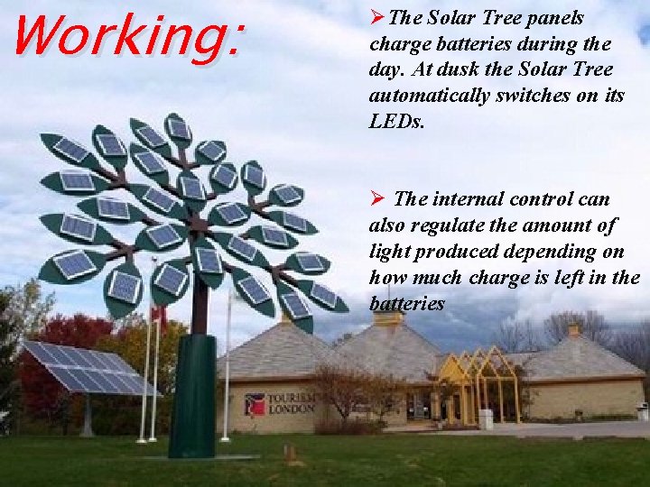 Working: ØThe Solar Tree panels charge batteries during the day. At dusk the Solar