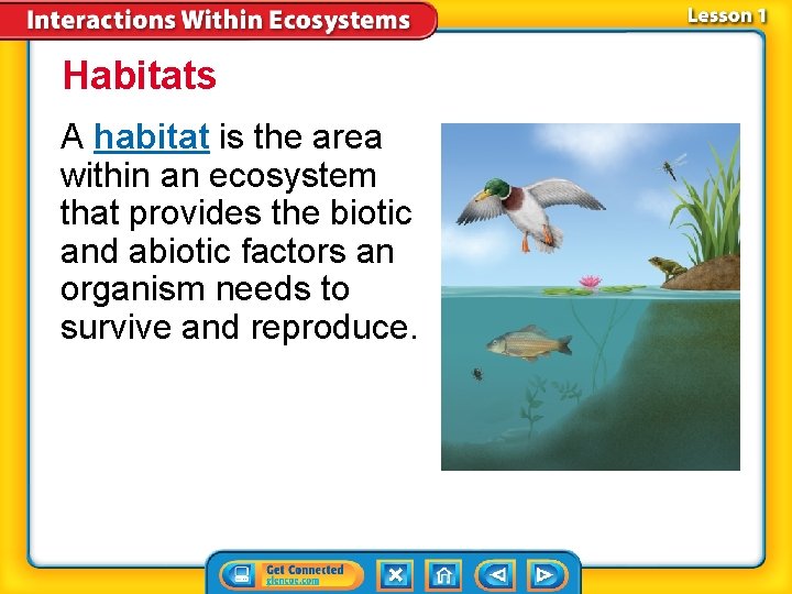 Habitats A habitat is the area within an ecosystem that provides the biotic and