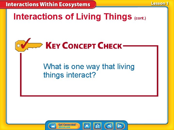Interactions of Living Things (cont. ) What is one way that living things interact?