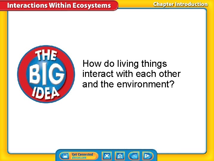 How do living things interact with each other and the environment? 