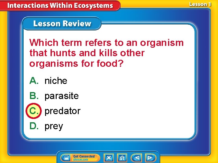 Which term refers to an organism that hunts and kills other organisms for food?