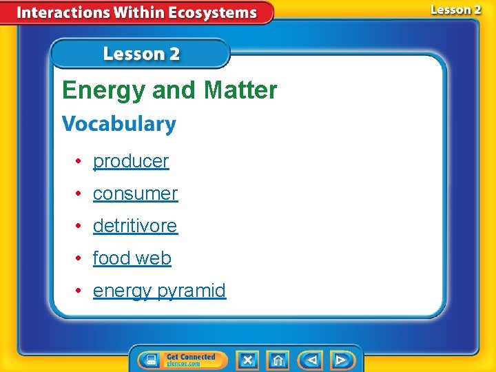 Energy and Matter • producer • consumer • detritivore • food web • energy