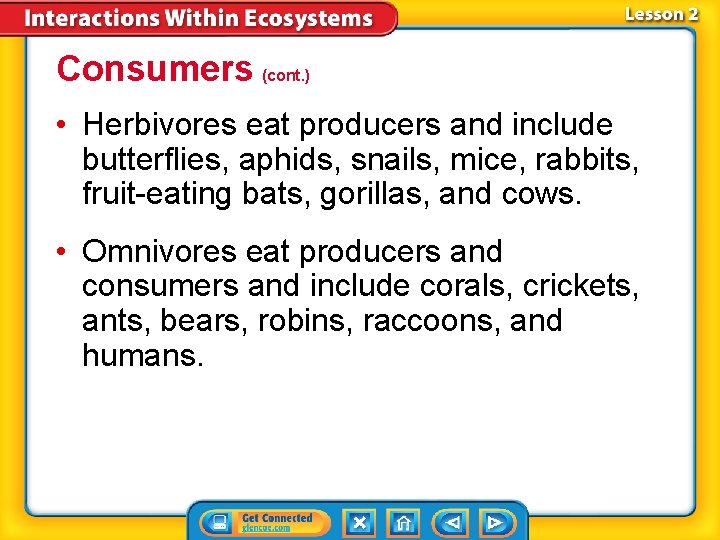 Consumers (cont. ) • Herbivores eat producers and include butterflies, aphids, snails, mice, rabbits,