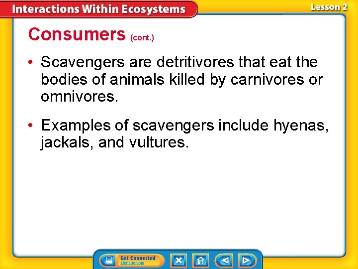 Consumers (cont. ) • Scavengers are detritivores that eat the bodies of animals killed