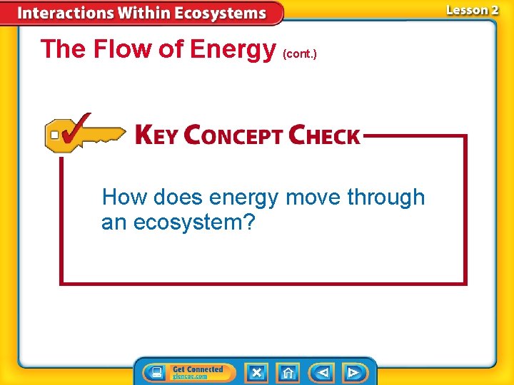 The Flow of Energy (cont. ) How does energy move through an ecosystem? 