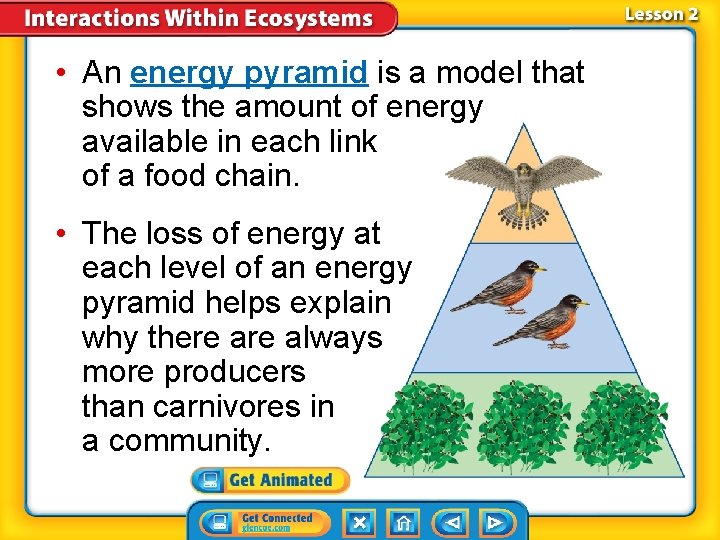  • An energy pyramid is a model that shows the amount of energy