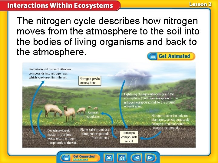 The nitrogen cycle describes how nitrogen moves from the atmosphere to the soil into