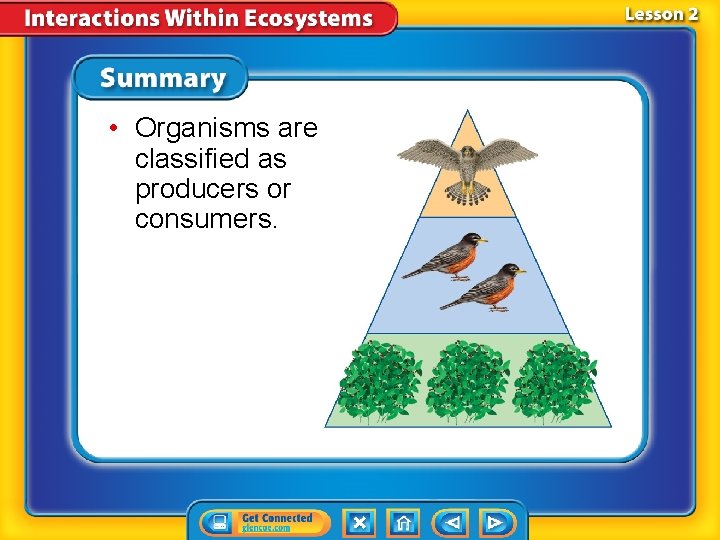  • Organisms are classified as producers or consumers. 