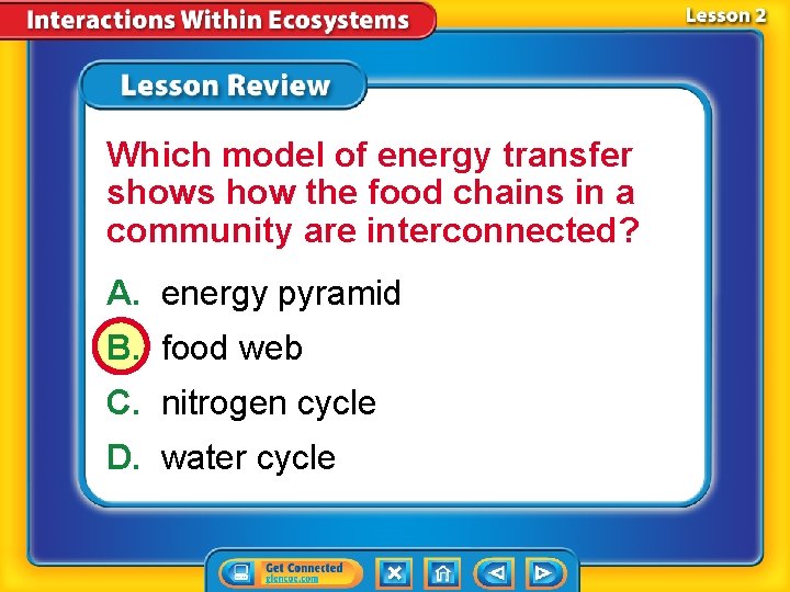 Which model of energy transfer shows how the food chains in a community are