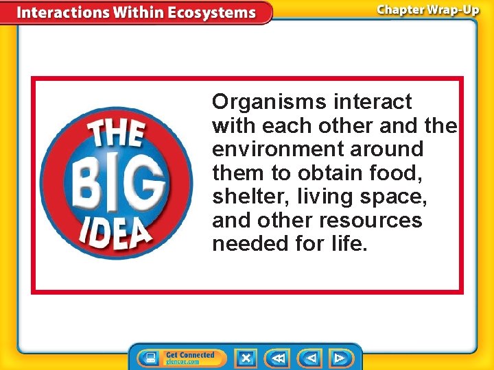 Organisms interact with each other and the environment around them to obtain food, shelter,