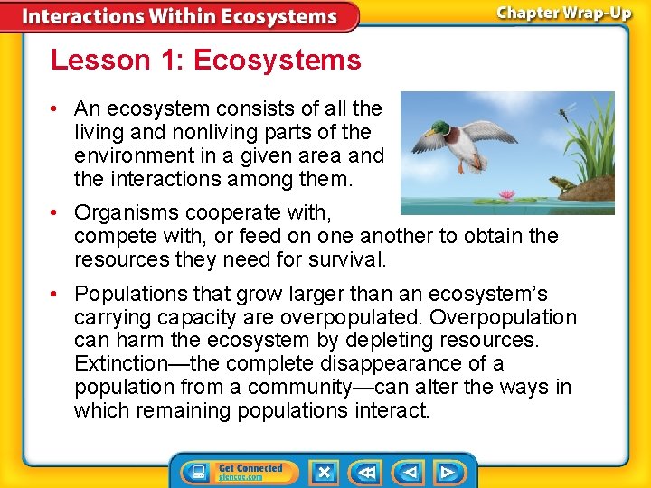 Lesson 1: Ecosystems • An ecosystem consists of all the living and nonliving parts