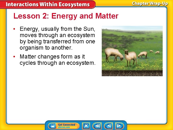 Lesson 2: Energy and Matter • Energy, usually from the Sun, moves through an
