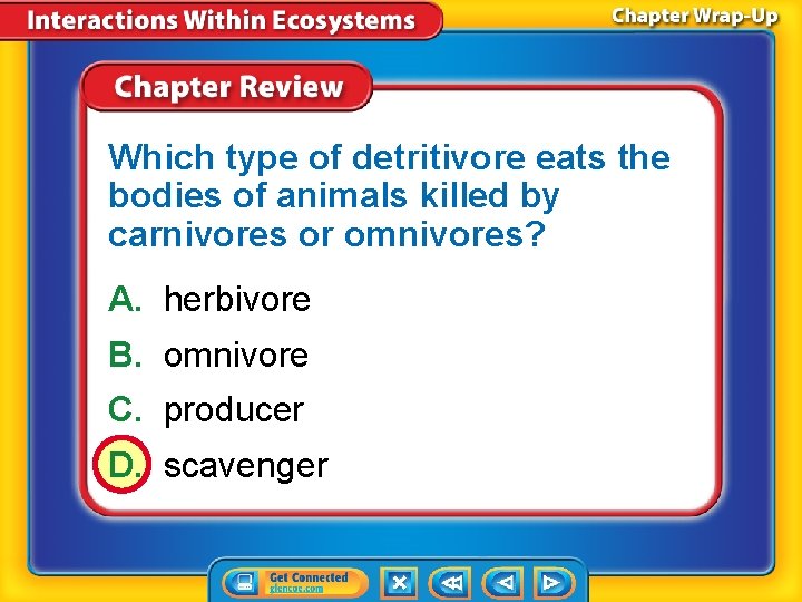 Which type of detritivore eats the bodies of animals killed by carnivores or omnivores?