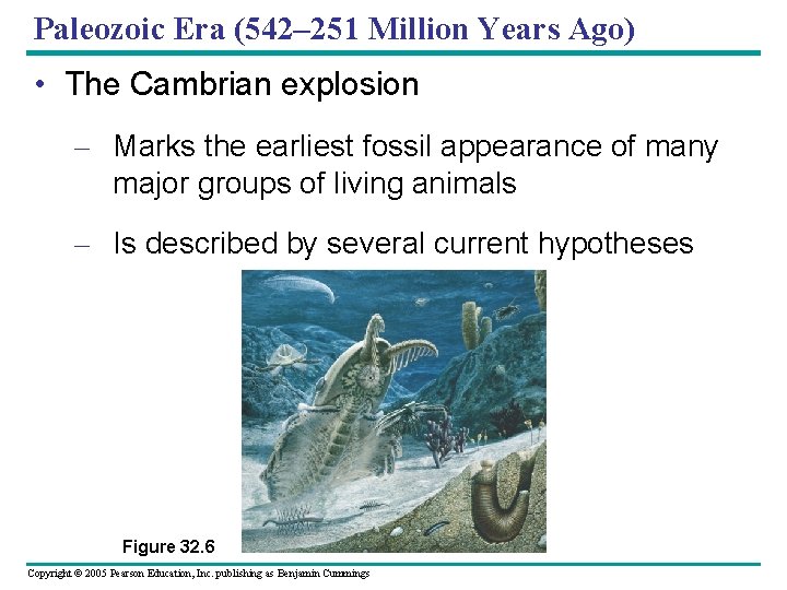 Paleozoic Era (542– 251 Million Years Ago) • The Cambrian explosion – Marks the