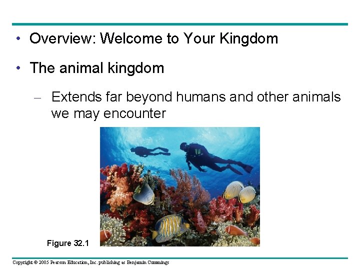  • Overview: Welcome to Your Kingdom • The animal kingdom – Extends far