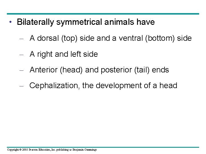  • Bilaterally symmetrical animals have – A dorsal (top) side and a ventral