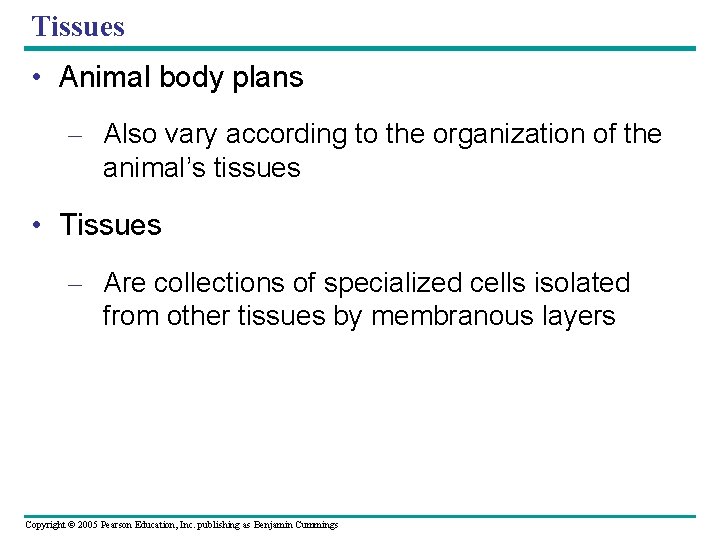 Tissues • Animal body plans – Also vary according to the organization of the